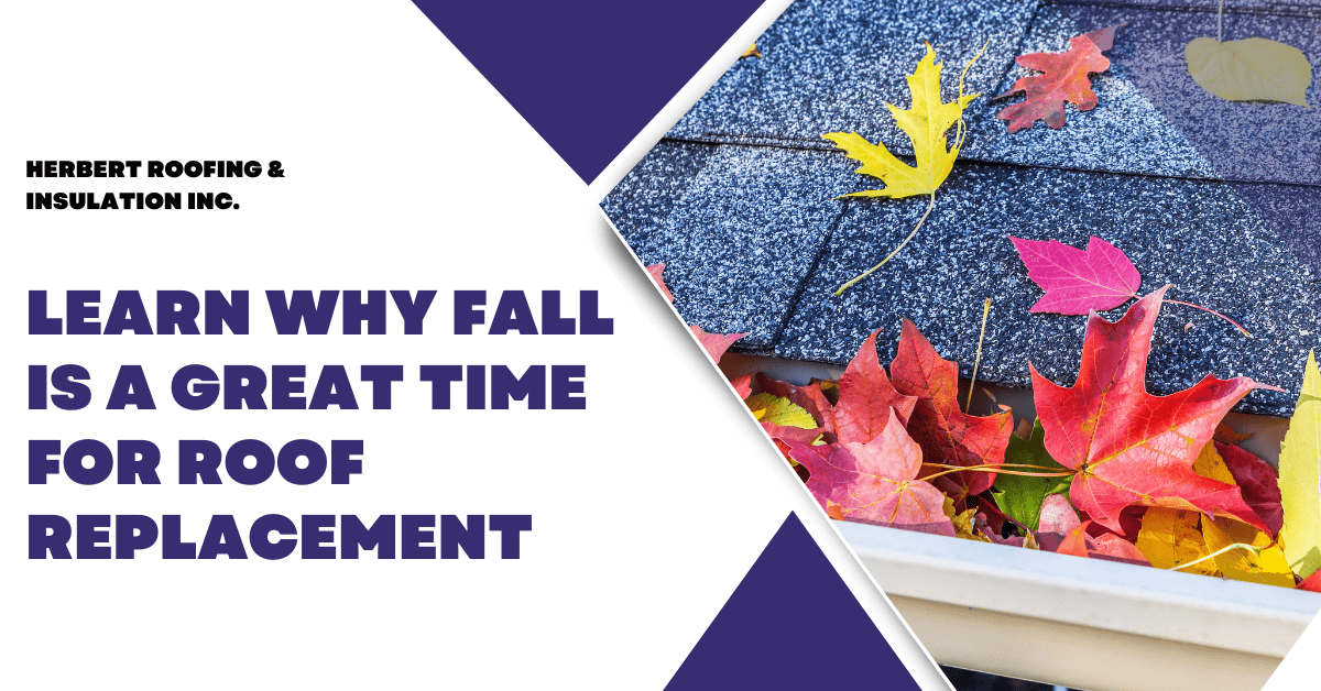 Learn Why Fall is a Great Time for Roof Replacement